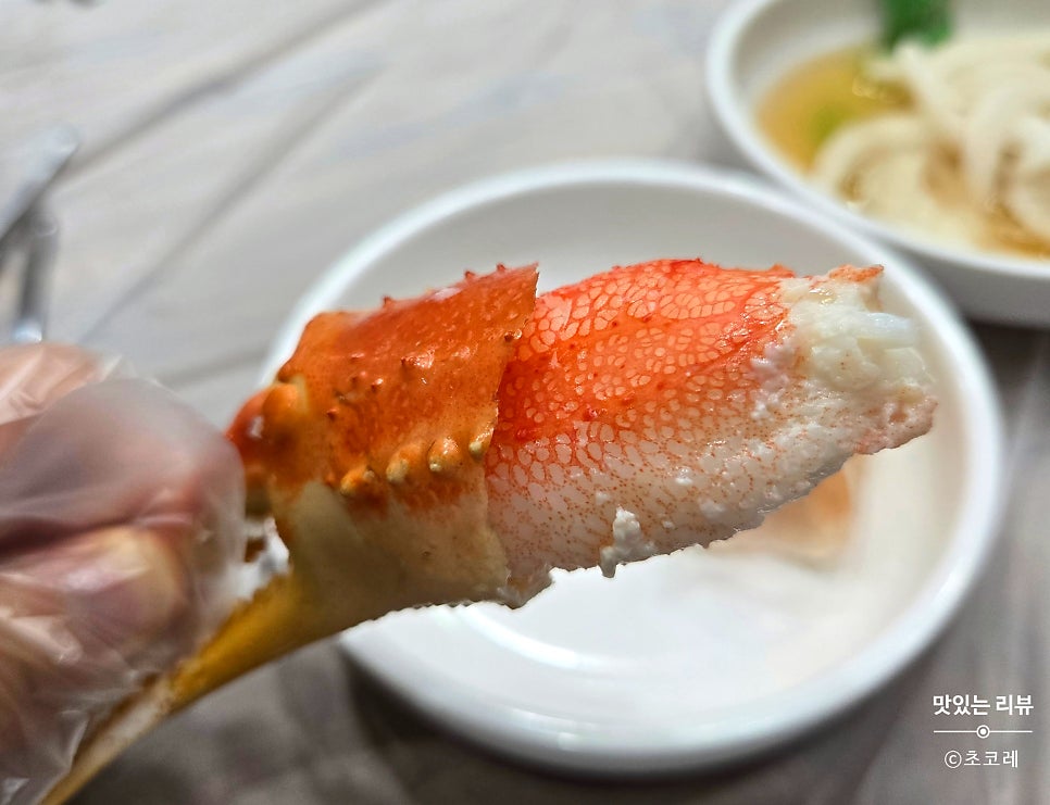 대게와친구 사진 6
