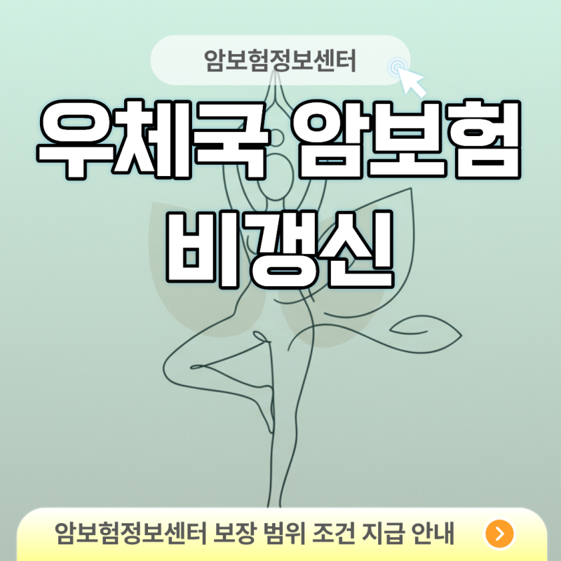 국가 기관의 안정성과 고정 지출 통제를 결합한 우체국 암보험 비갱신 상품 팩트 체크