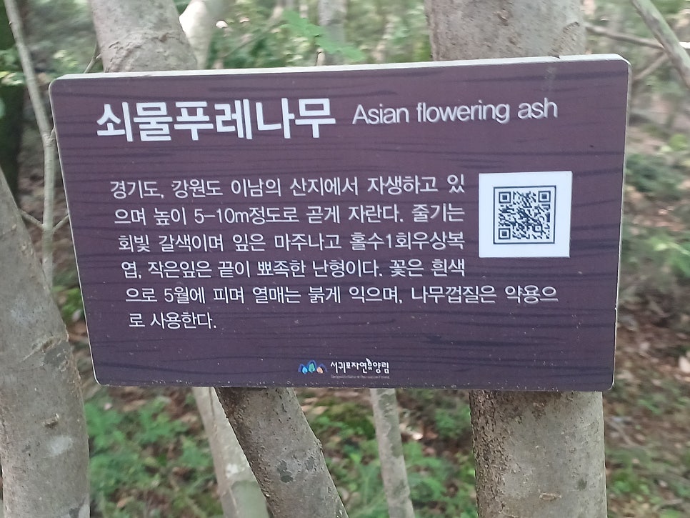 법정악 사진 6