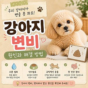 강아지 변비  변을 못 볼 때 원인과 해결 방법 총정리