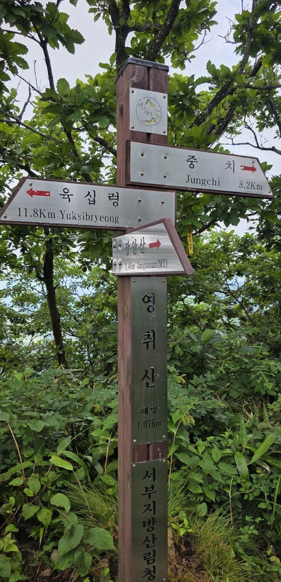 영취산 사진 6