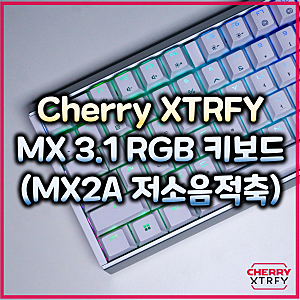 Cherry 체리 MX 3.1 RGB MX2A 저소음 적축 기계식 키보드 리뷰