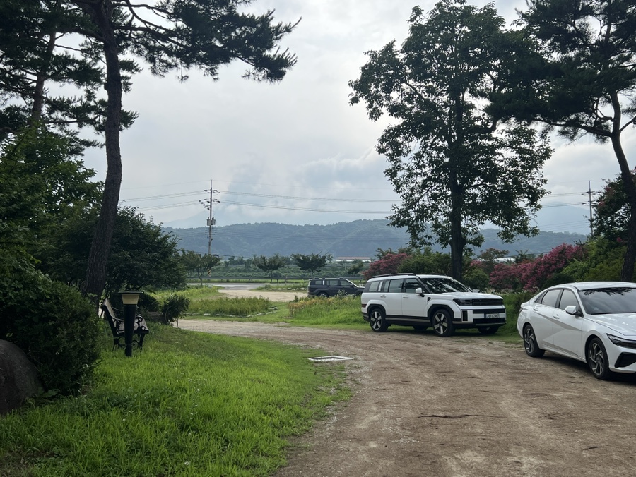 스테이초록 사진 5