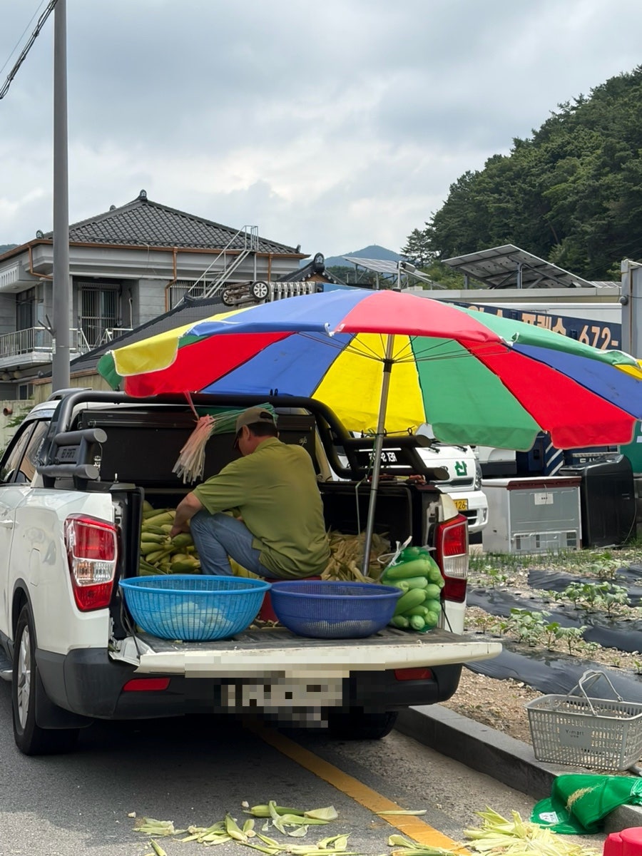 보성웰빙식당 사진 5