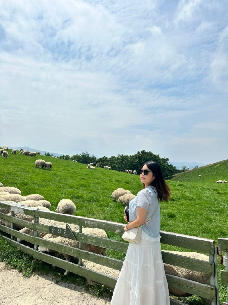 강릉 1박2일 데이트코스 추천 가볼만한곳 총정리