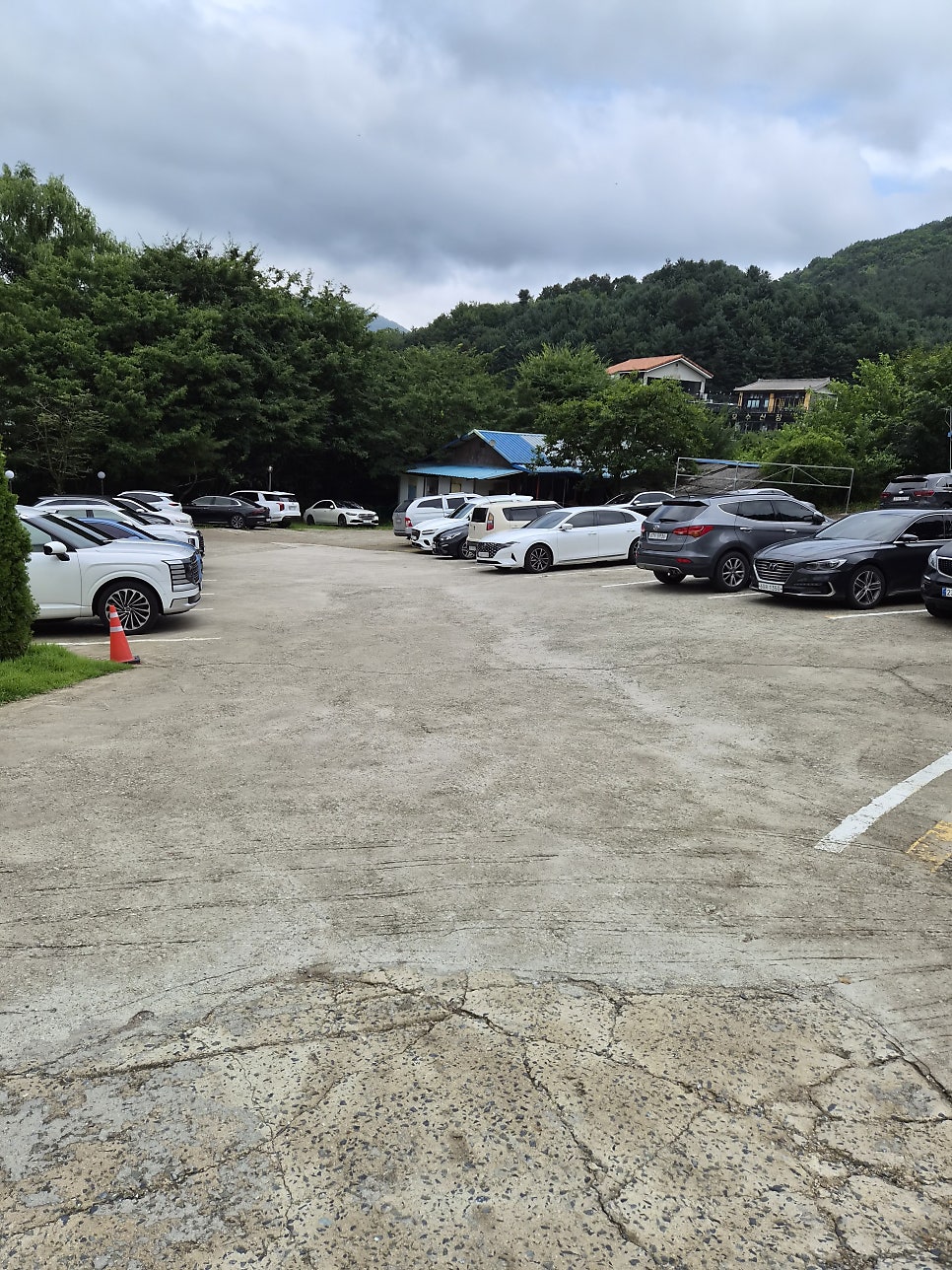 순백채 사진 1