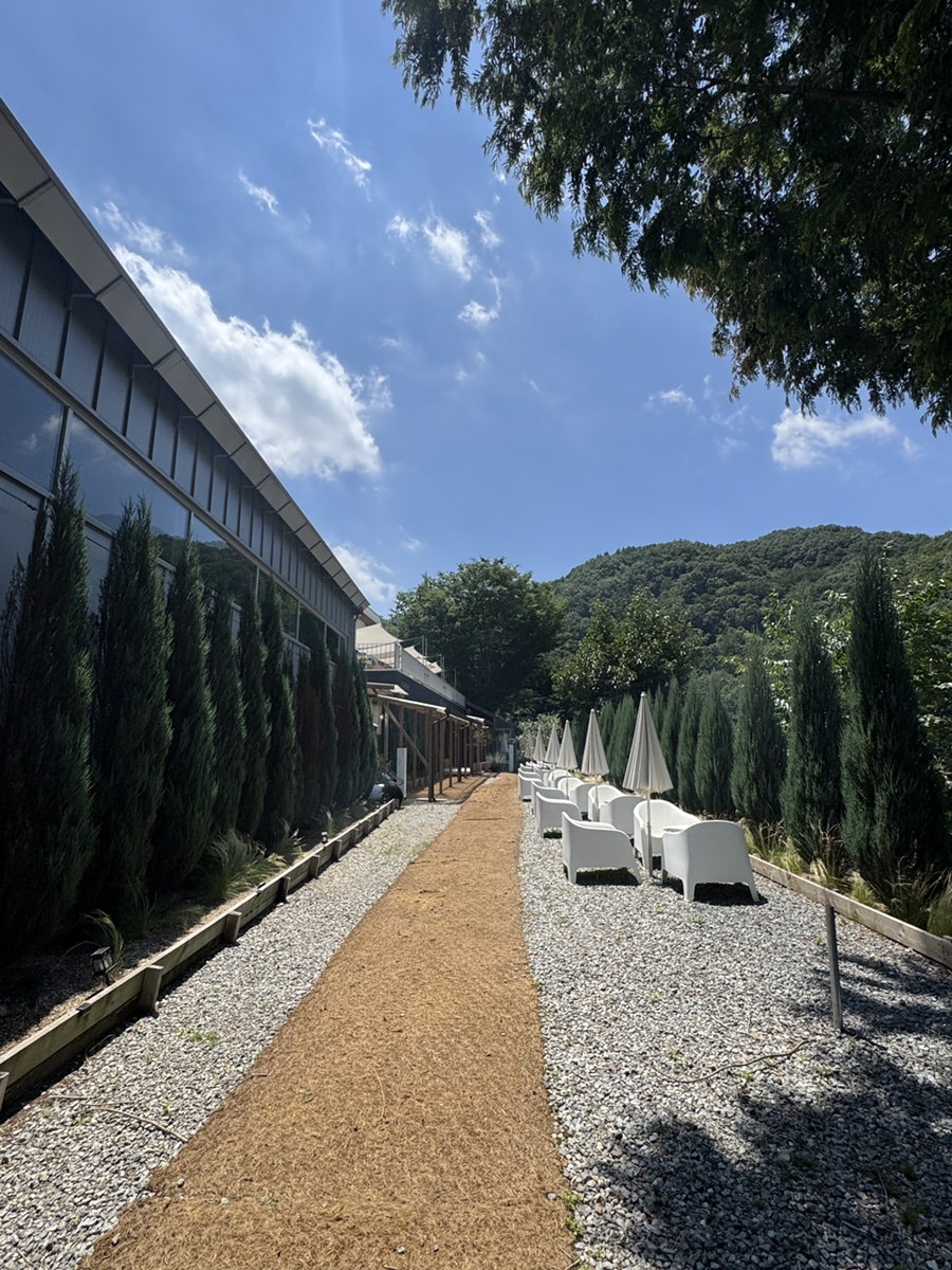 은구비&로스팅팩토리 사진 5