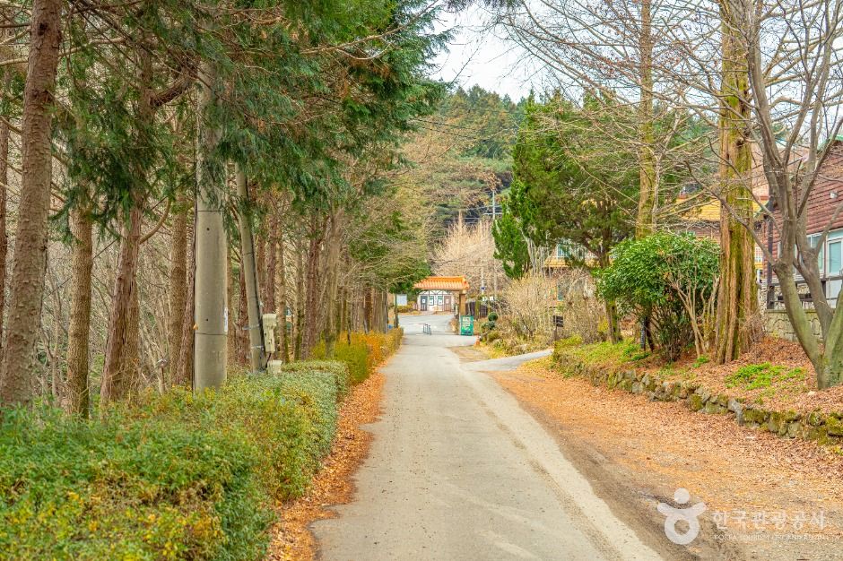 무등산 편백자연휴양림 휴양림가든 사진 3