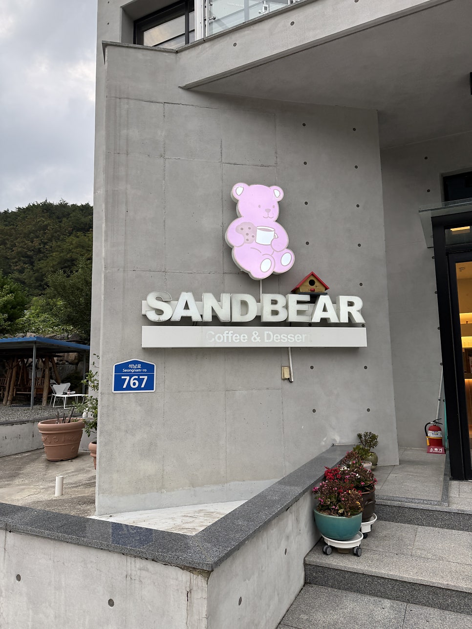 샌드베어 사진 3