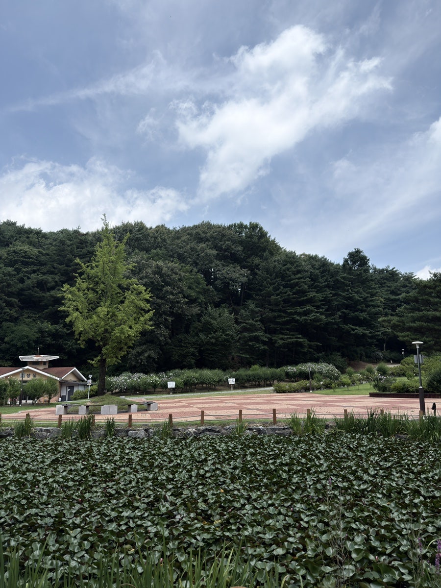 홍천무궁화테마파크 사진 5