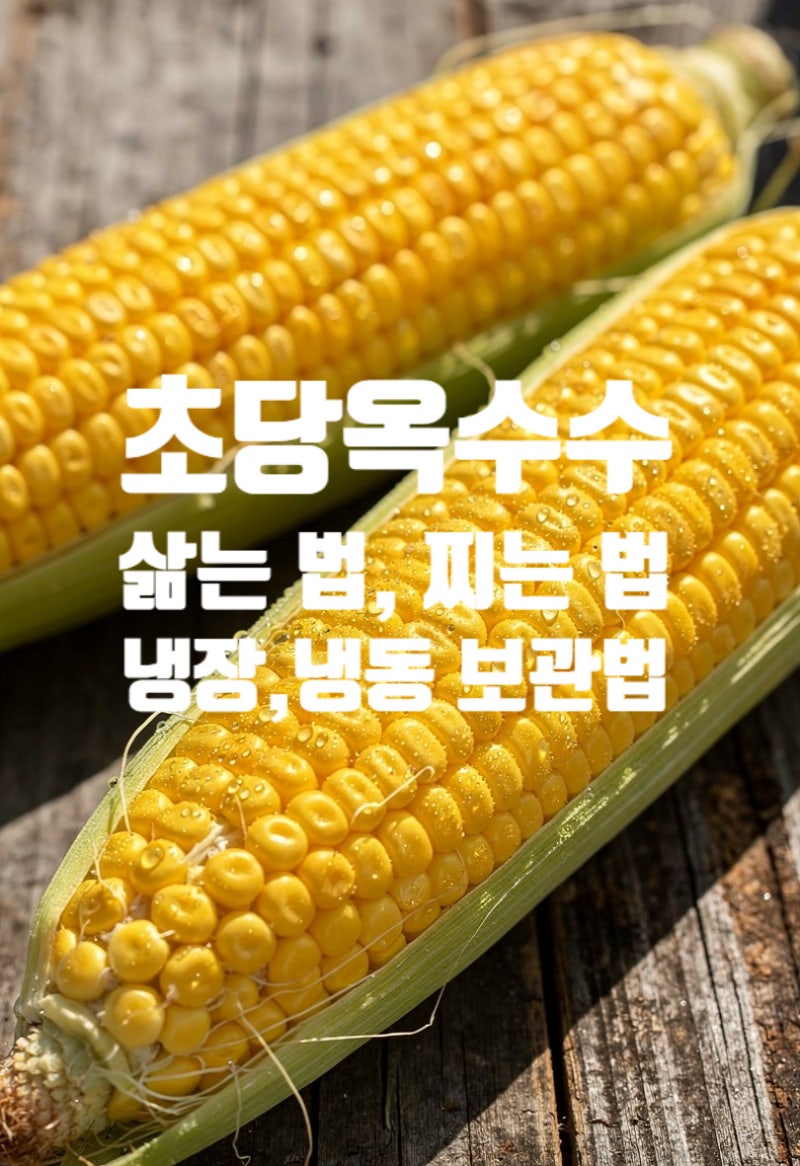 초당옥수수 삶는 법 | 전자레인지 찌기, 찜기로 찌기까지 총정리