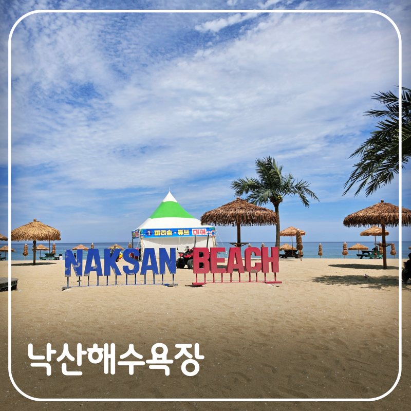 양양 가볼만한곳 낙산해수욕장 개장 짚파라솔 편의 시설 이용요금 및 주차 정보 총정리