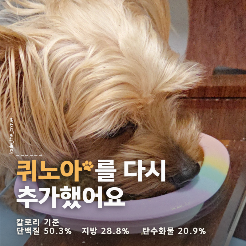 강아지 화식 만들기 닭가슴살 홍두깨살 자연식 죽 레시피