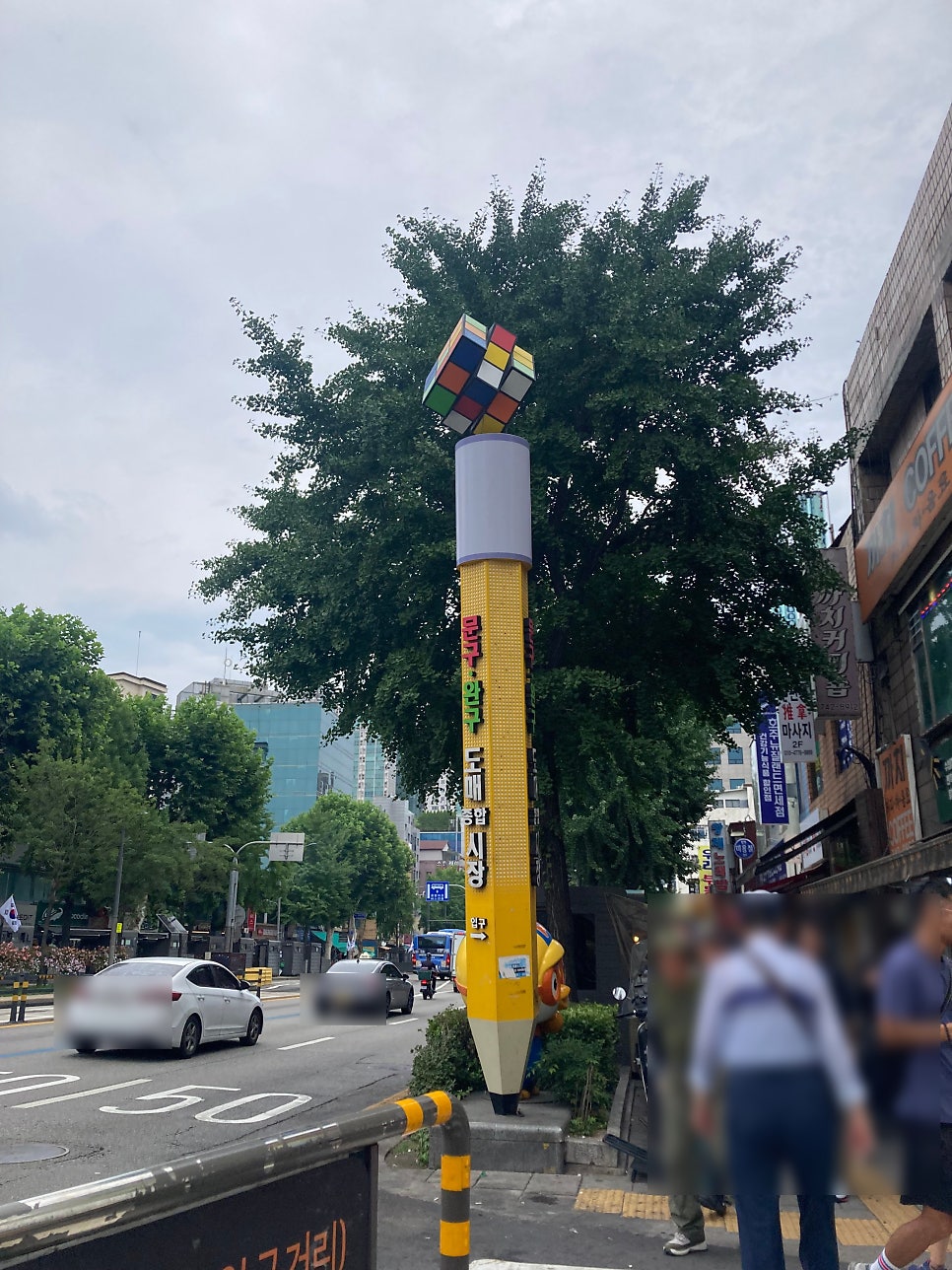 동심 사진 3