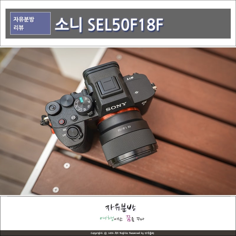 첫 단렌즈는 어떤 걸 골라야 할까? 가볍고 가성비 좋은 50mm 단렌즈, 소니 SEL50F18F