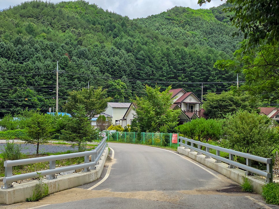 숲나들이 사진 3