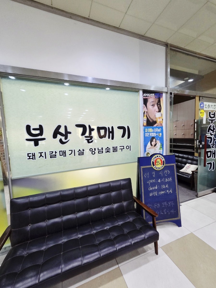 부산갈매기 사진 3