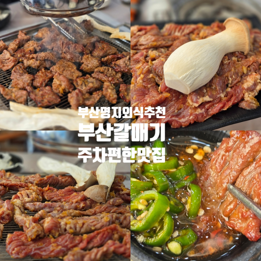 부산갈매기 사진 1