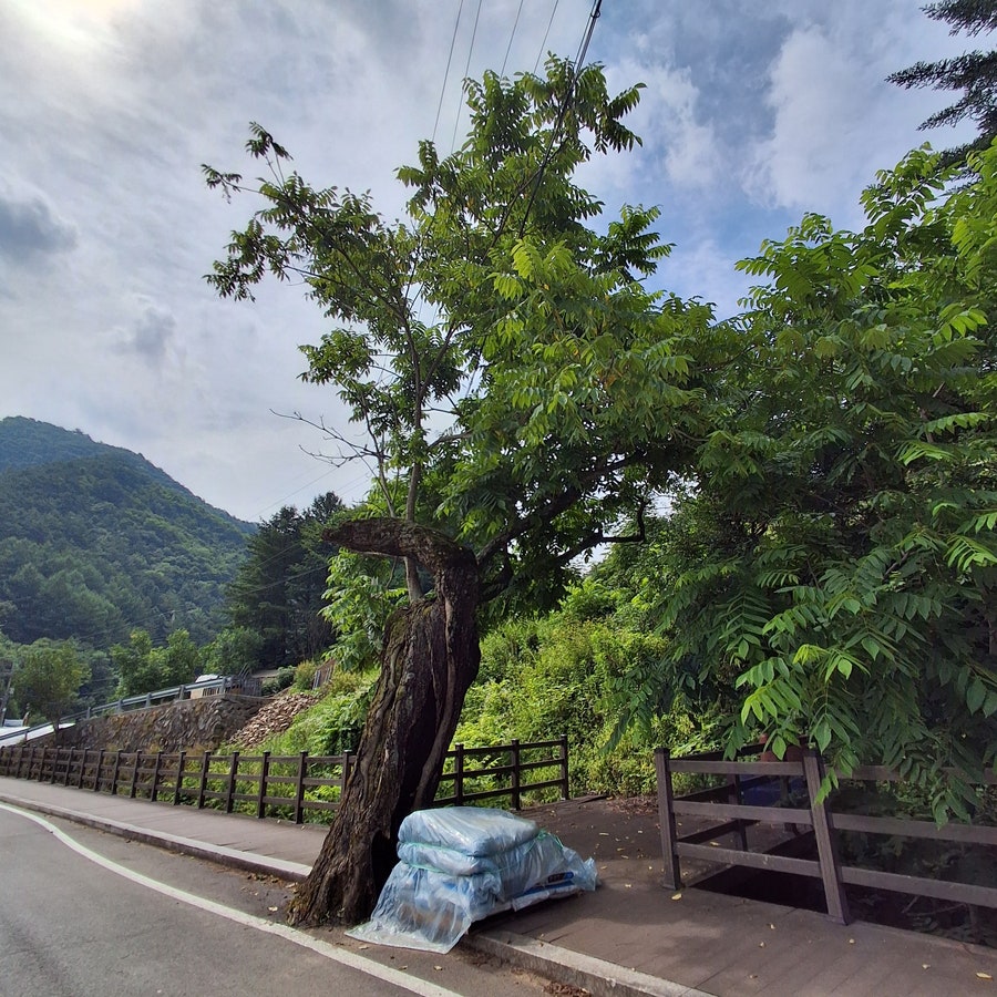 지억산 사진 4