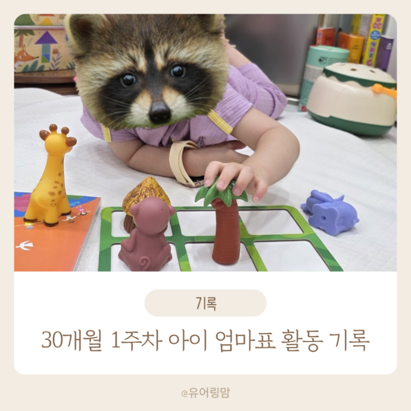 블로그 후기 사진