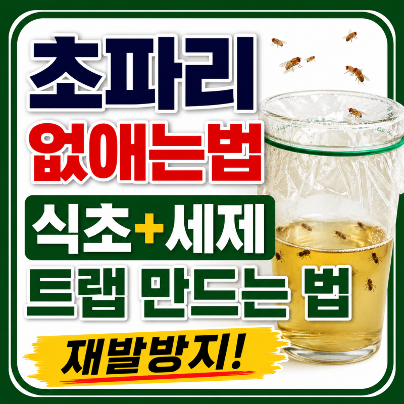 초파리 없애는법 식초 세제 트랩 만드는 법과 재발 막는 방법