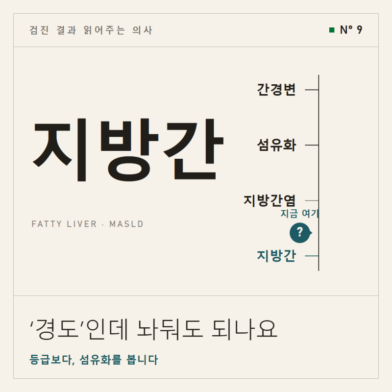 지방간 '경도'라는데 괜찮을까요? 등급보다 중요한 게 있습니다