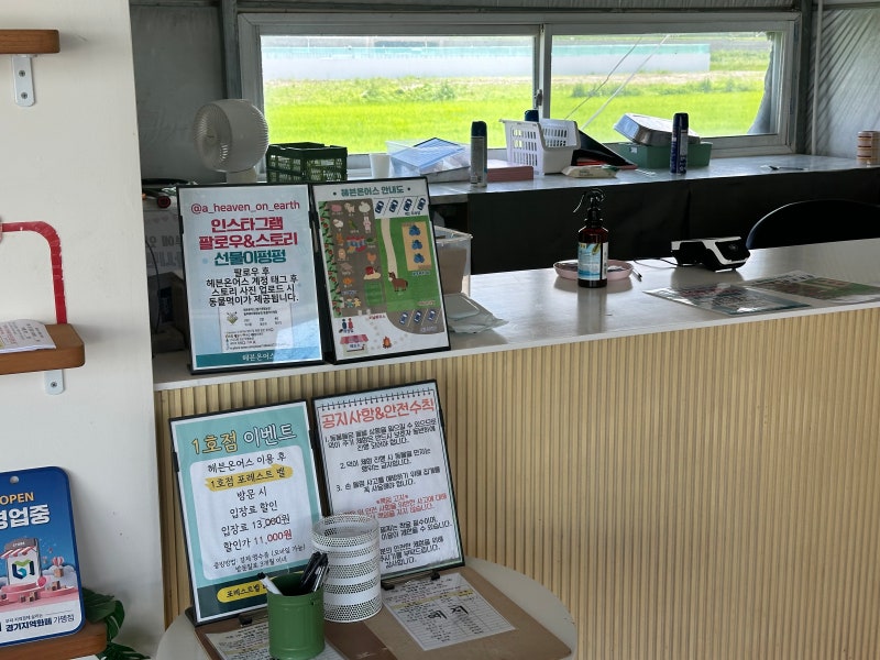 용인동물동장 블루베리체험농장 13개월 아기랑 용인가볼만한곳 헤븐온어스