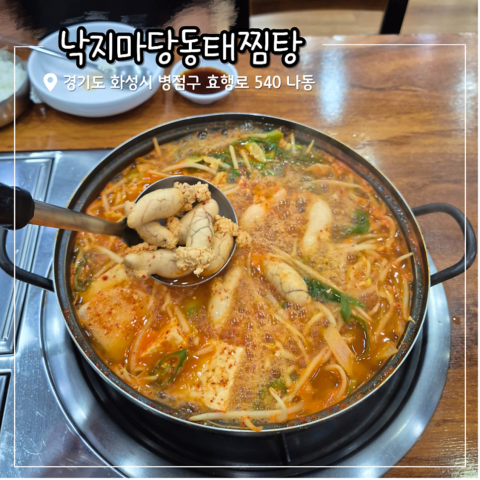 낙지마당동태탕찜 사진 1