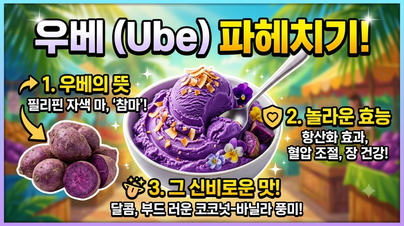 우베 뜻 우베 효능 무슨 맛일까?