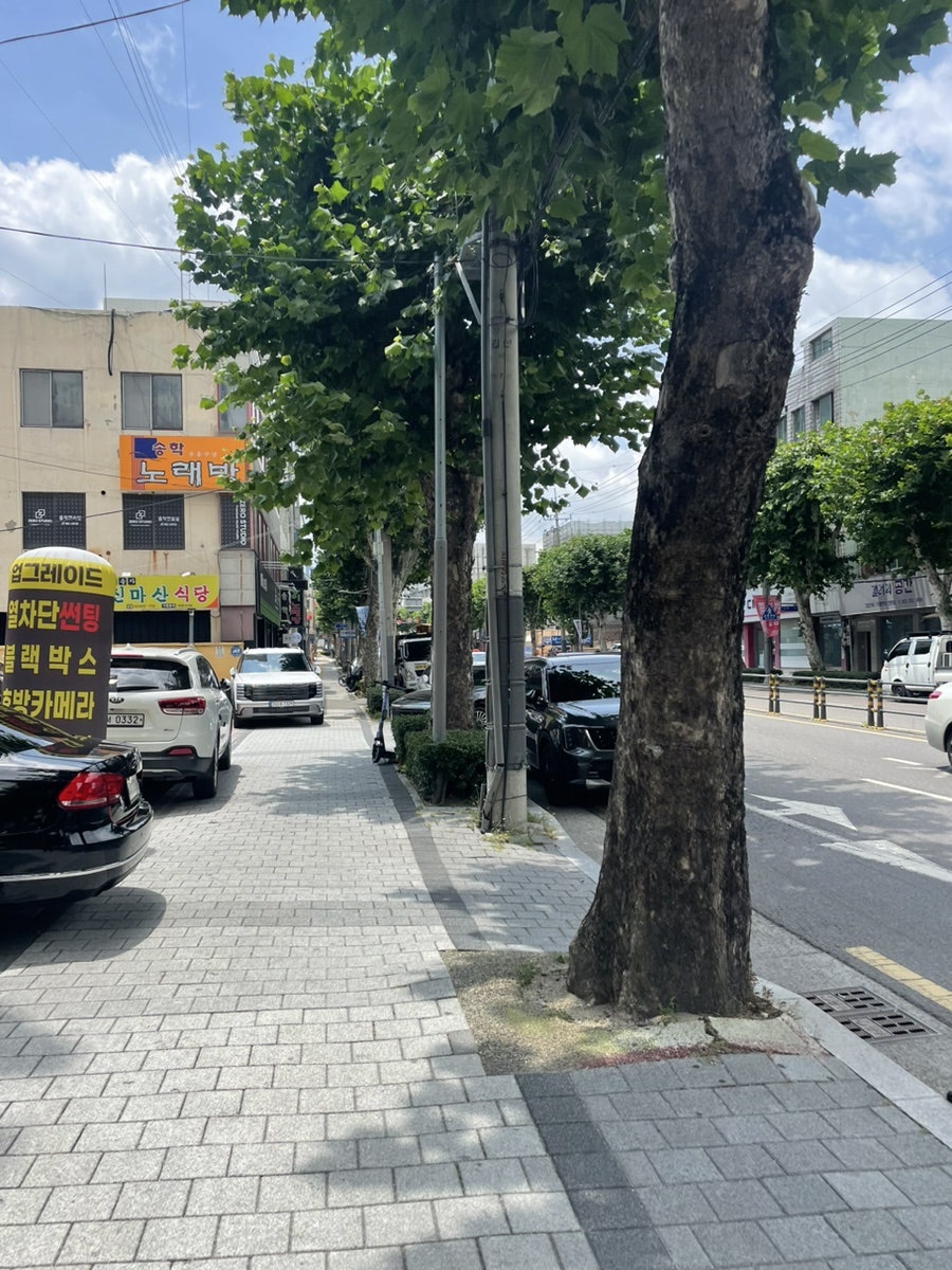 신송자신마산식당 본점 사진 2