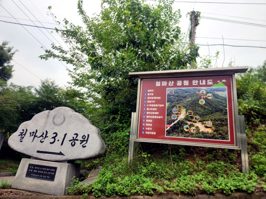철마산 사진 1