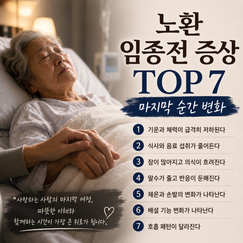 노환 임종전 증상 TOP 7 마지막 순간 변화