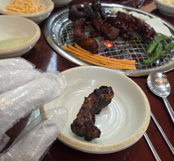 벽오동 사진 2