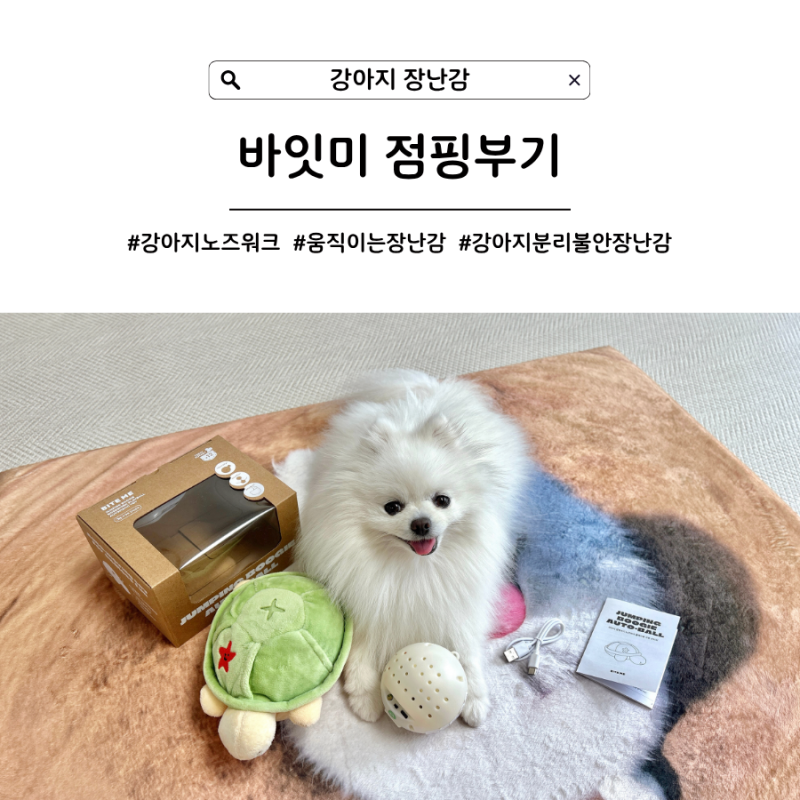 [강아지 장난감] 분리불안 걱정 없는 움직이는 노즈워크, 바잇미 점핑부기