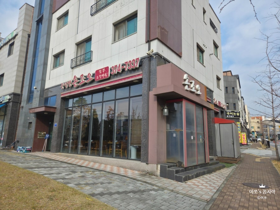 손조오 사진 3