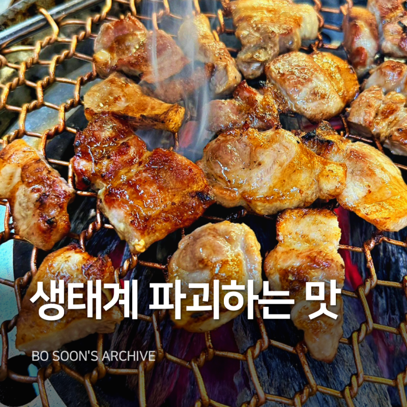 [수원 종합운동장] 야구장 근처 '양촌리' 화로구이 삼겹살&양푼비빔밥 또간집