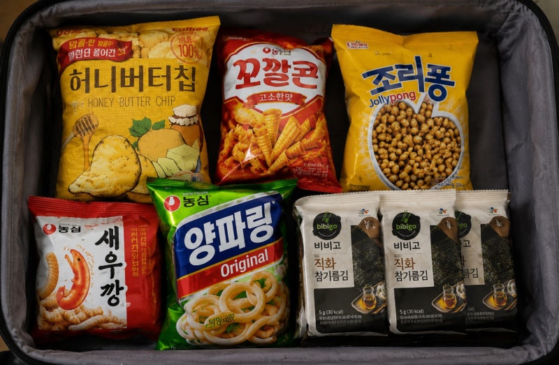 일본 여행 기내 반입 음식, 어디까지 가능할까? 김치 컵라면도 가능?