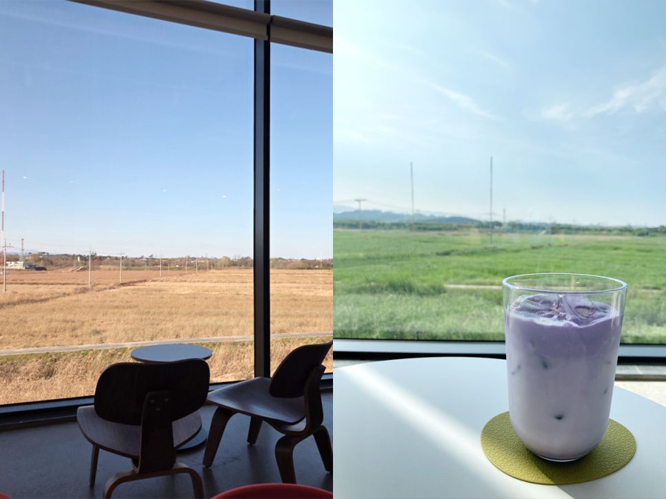 차전자 사진 1