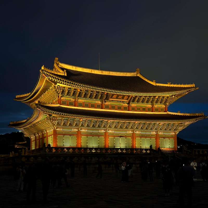2026 경복궁 야간개장 관람 후기 예약 방법과 관람 코스 총정리