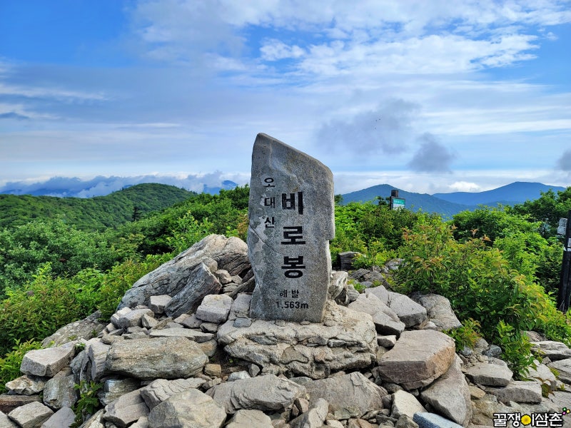 오대산 등산코스 상원사 적멸보궁 비로봉 최단코스 ft. 국립공원 다람쥐보러가즈아!