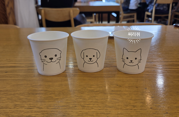 벽오동 사진 6