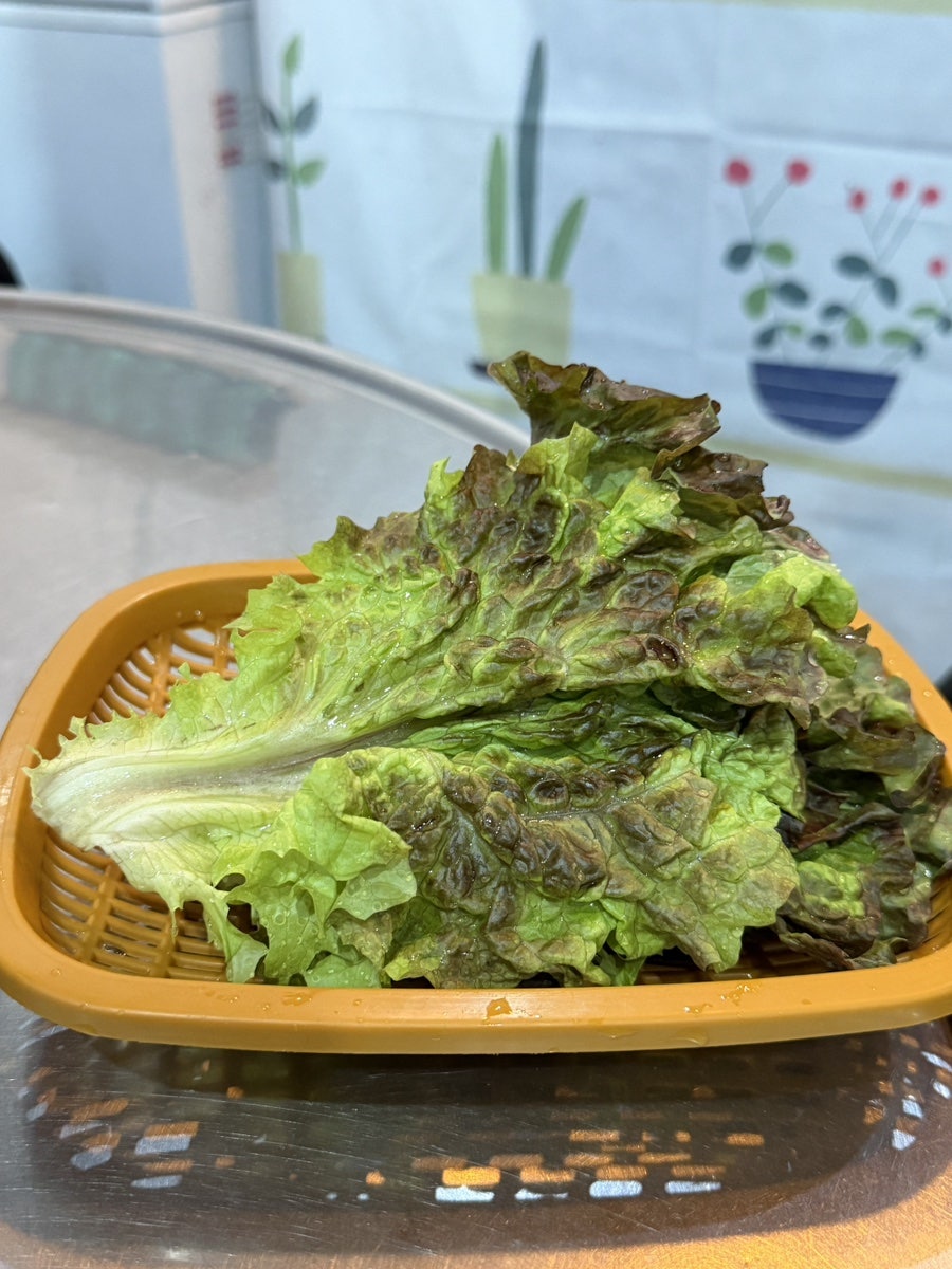 Choeaegalbi photo 5