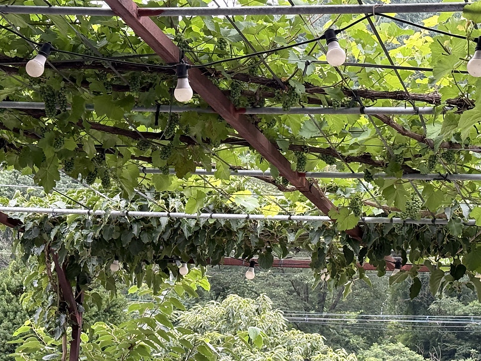 큰골마당 사진 4