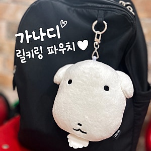 가나디 릴키링 파우치 후기 | 30대가 가방에 달고다니면?