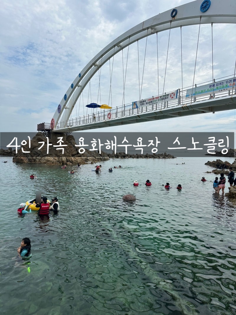 [삼척 여행] 4인 가족 취향 저격! 파도 잔잔하고 물 맑은 '용화해수욕장' 스노클링과 캠핑장 ....