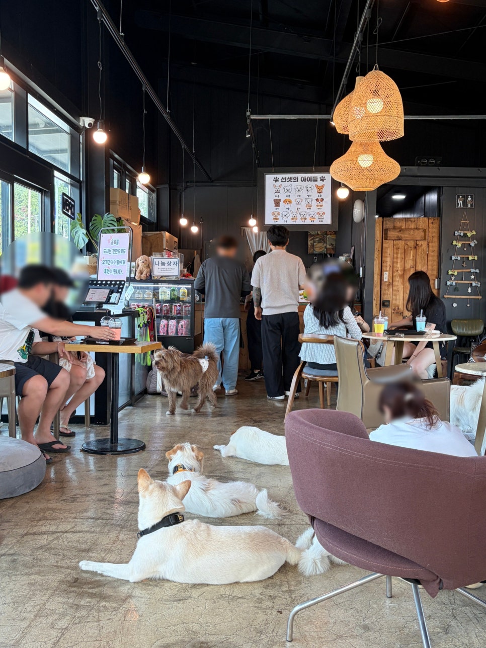 선셋커피 사진 5