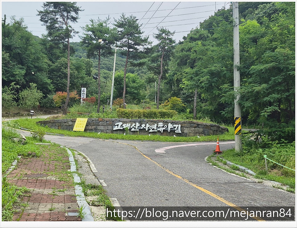 고대산자연휴양림 사진