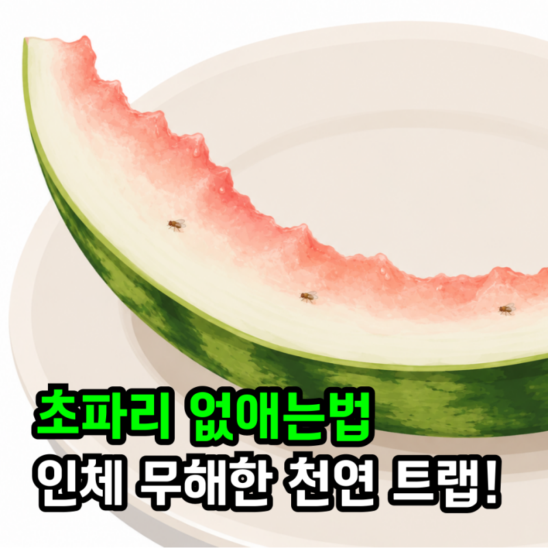 "살충제 성분이 걱정된다면", 인체에 무해하게 초파리 없애는법과 천연 트랩 만들기