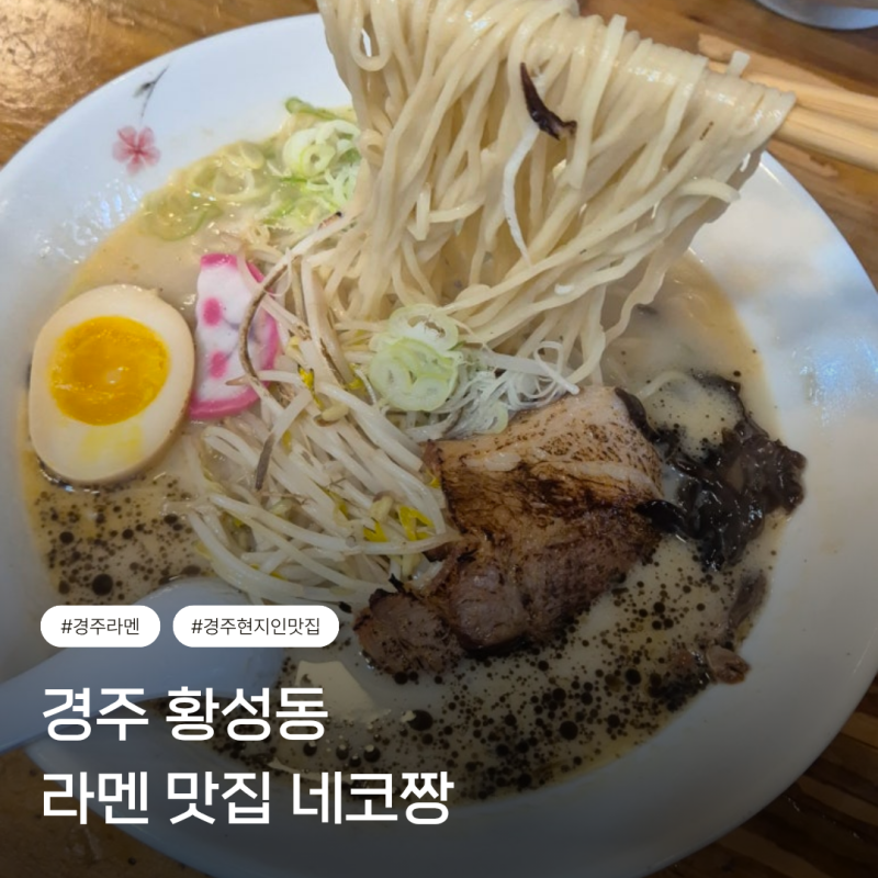 [경주 황성동 맛집] 돈코츠 라멘 네코짱, 경주 현지인 맛집