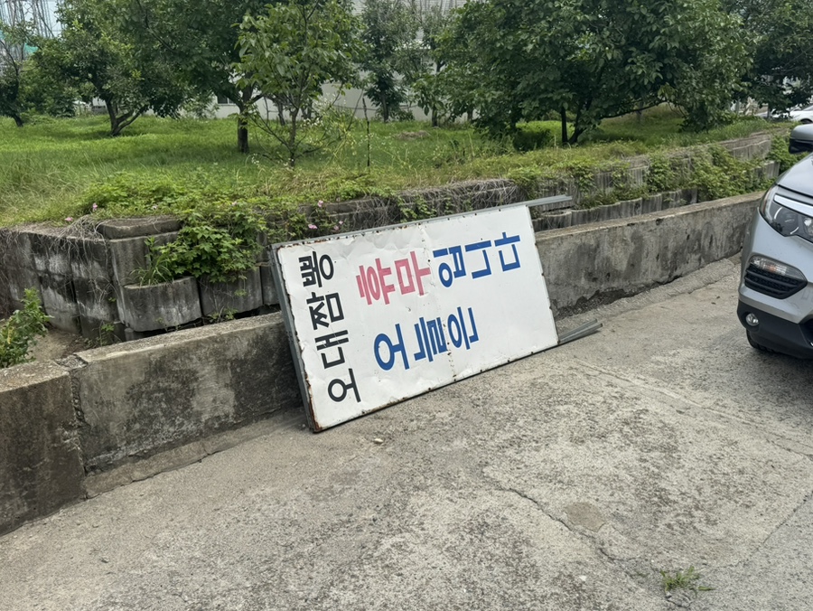 오대짬뽕 사진 3